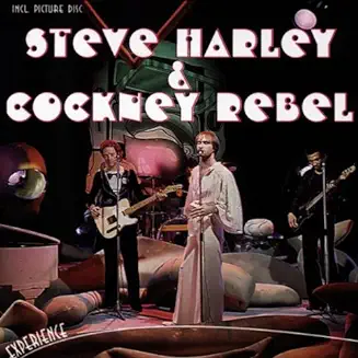 STEVE HARLEY & COCKNEY REBEL