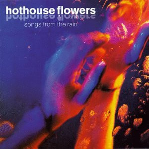 HOTHOUSE FLOWERS