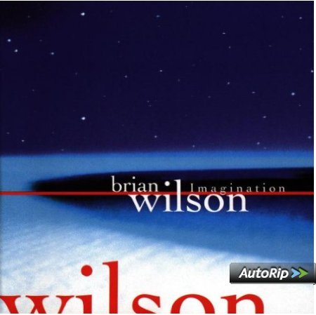 BRIAN,WILSON