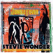 WONDER STEVIE