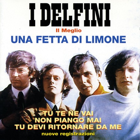 I DELFINI