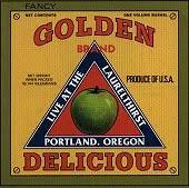 GOLDEN DELICIOUS