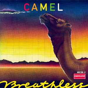 CAMEL