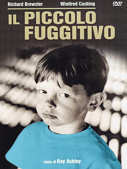 IL PICCOLO FUGGITIVO